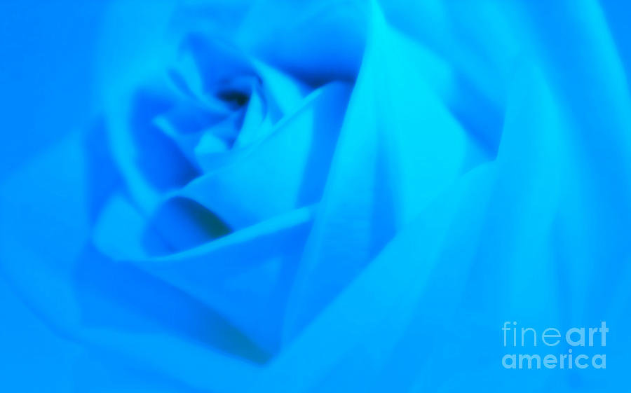 Rose Photograph - Blue Soft Rose by Robin Lynne Schwind
