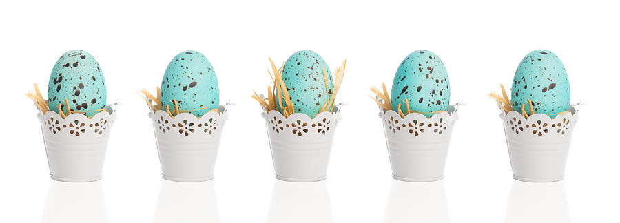Easter Photograph - Blue Speckled Eggs by Amanda Elwell