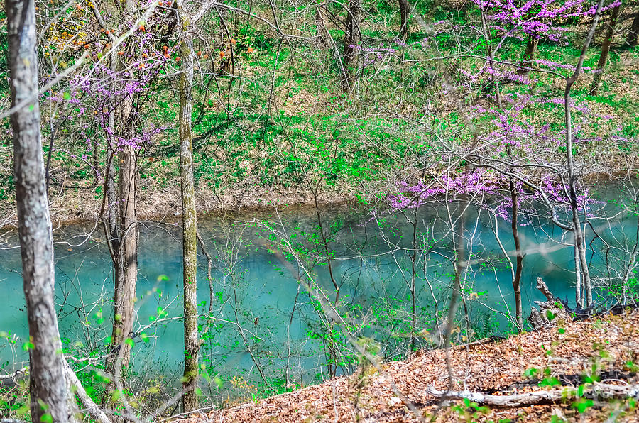 Blue Springs Big Creek Photograph by Peggy Franz