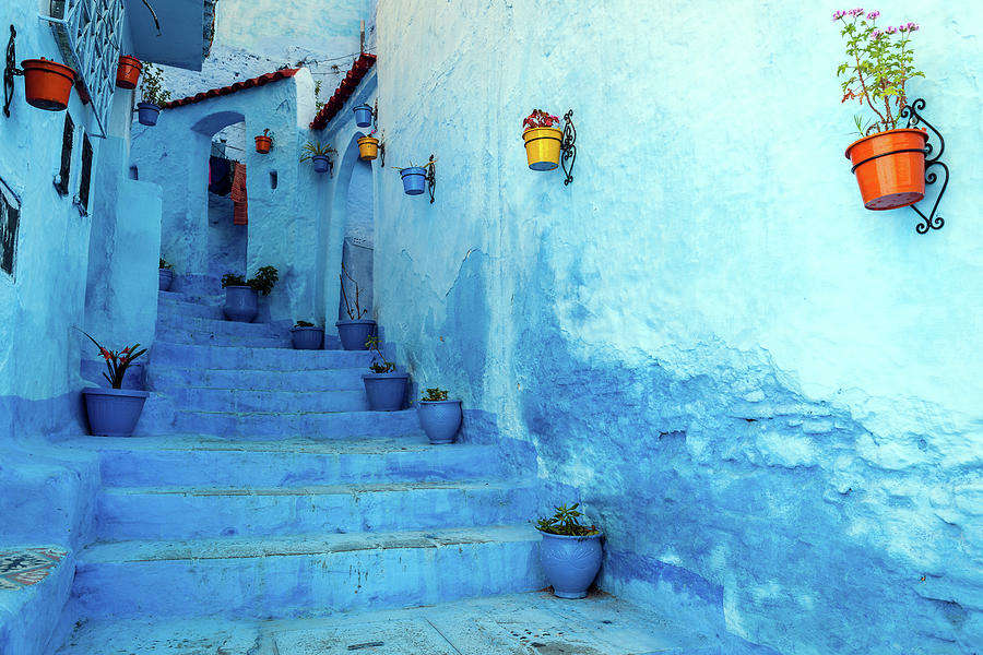 Blue Staircase & Colourful Flowerpots Photograph by Pavliha