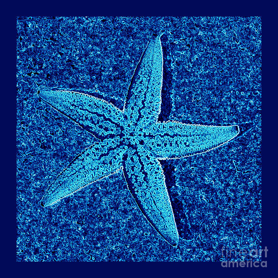 Blue Starfish - Digital Art by Carol Groenen.