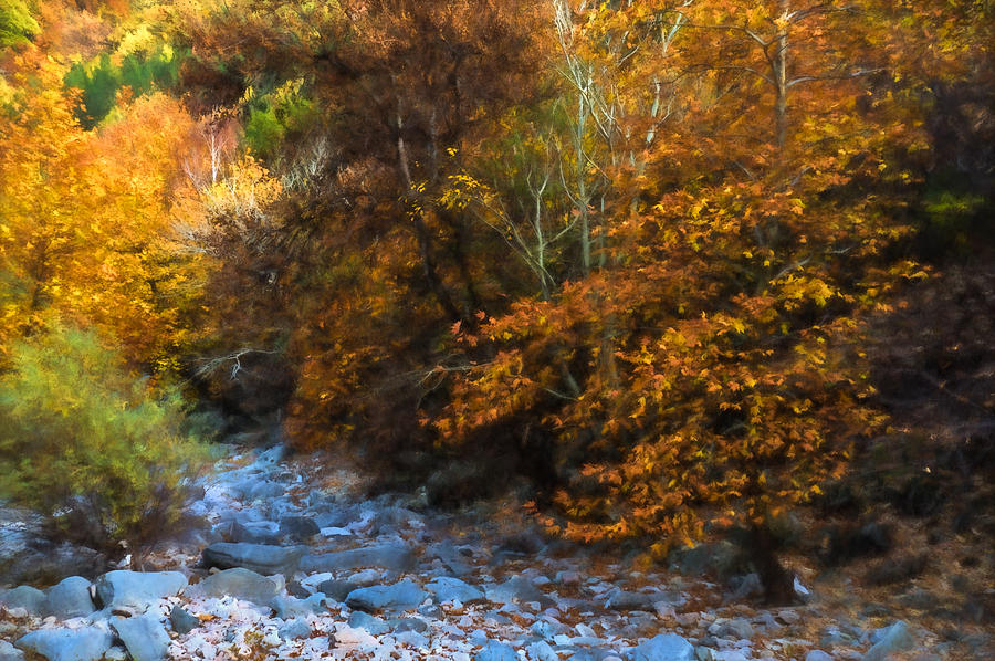 Blue Stones Yellow Leaves - a Dry River Impressions Digital Art by Georgia Mizuleva
