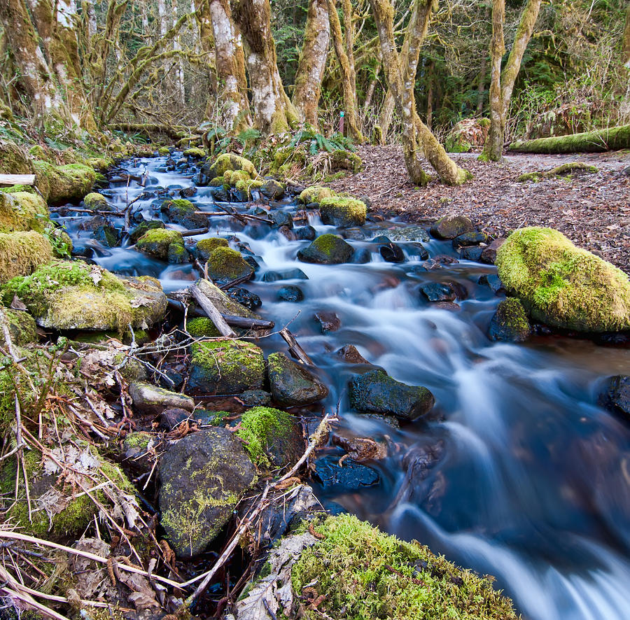 Nature Photograph - Blue Stream by James Wheeler