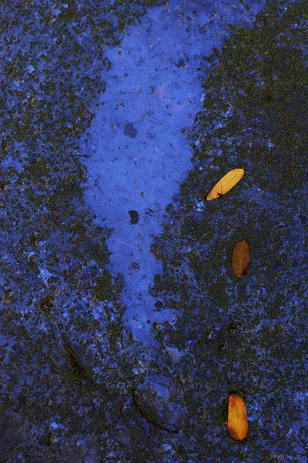 Blue Surface 2 Photograph by Robert Woodward