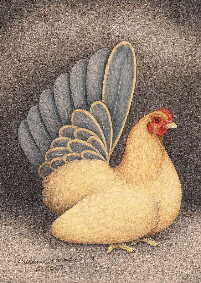 Chicken Drawing - Blue Tailed Buff Japanese Bantam by Katherine Plumer