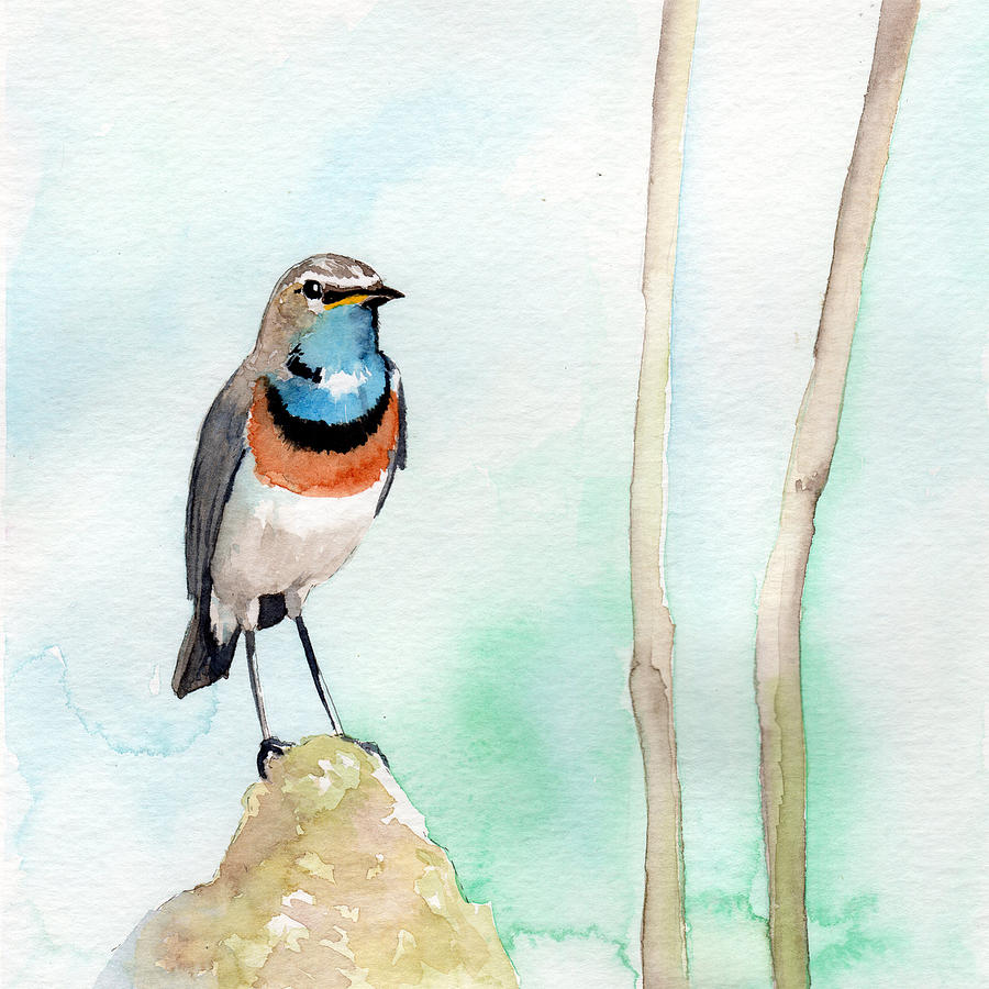 Blue Throat Painting by Sean Parnell