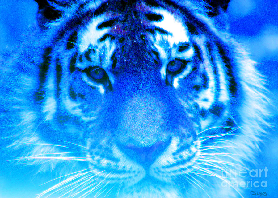 Blue Tiger Photograph by Nick Gustafson