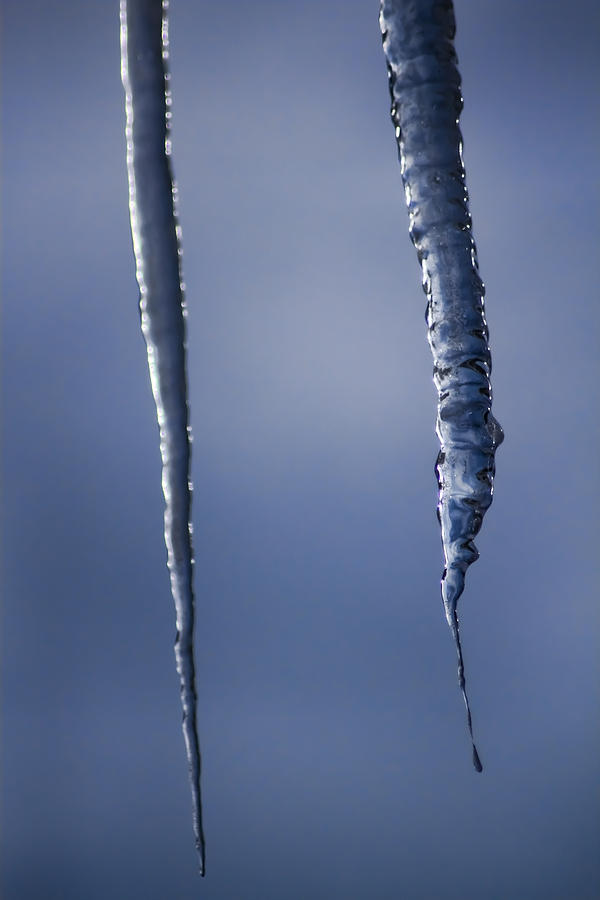 Blue Tinted Icicles Photograph by Sven Brogren