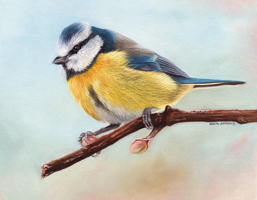 Blue tit in oils. is a painting by Sarah Stribbling which was uploaded on J...
