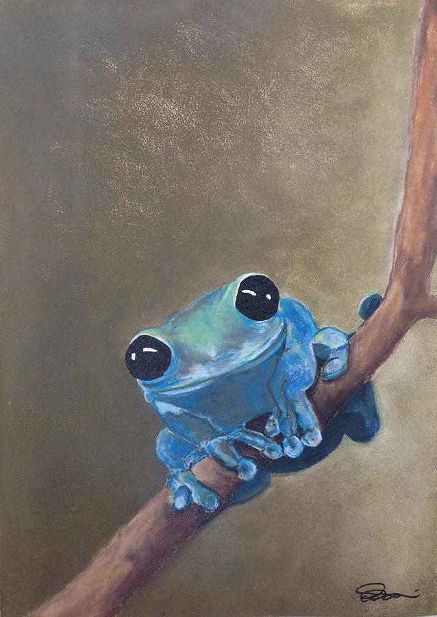 Wildlife Drawing - Blue Tree Frog on a Branch by Cristel Mol-Dellepoort