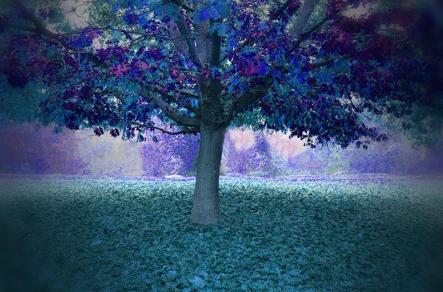 Blue Tree Monet Painting Background Photograph by Marilyn MacCrakin