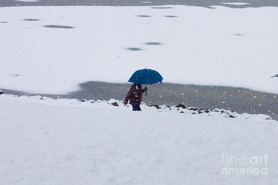 Blue Umbrella in Snow Photograph by Thomas Marchessault