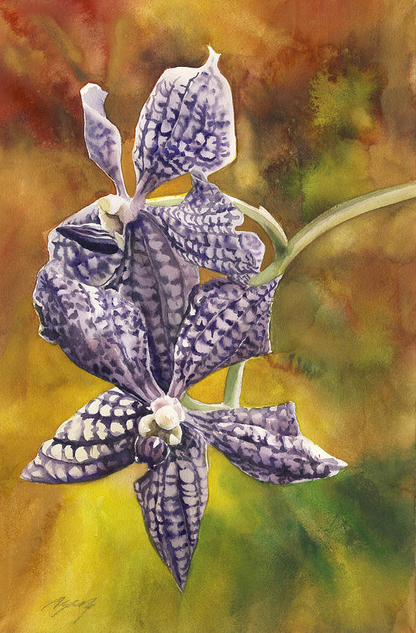 Blue Vanda Orchids Painting by Alfred Ng