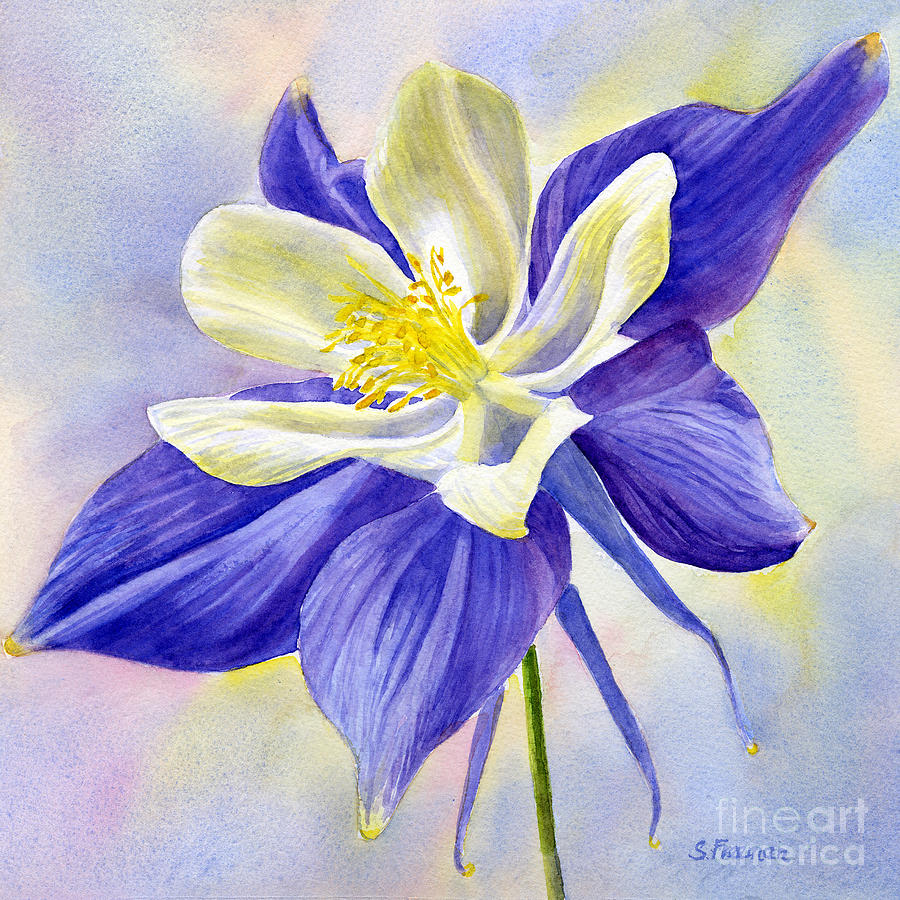 Blue Violet Columbine Blossom Painting by Sharon Freeman