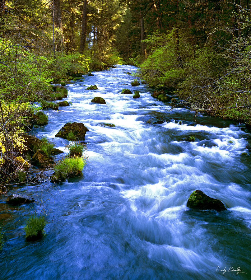 Blue Water Stream Photograph by Randy Bradley