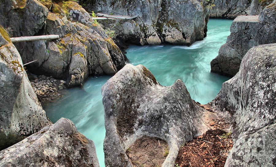 Blue Waters Of The Cheakamus River Photograph by Adam Jewell