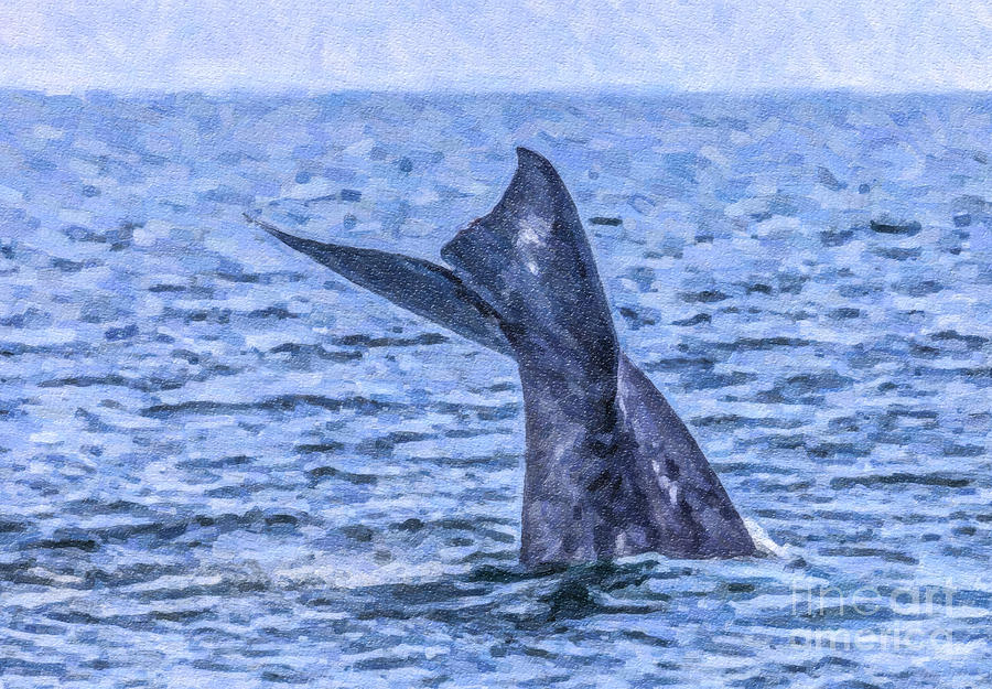 Blue Whale Diving Digital Art by Liz Leyden
