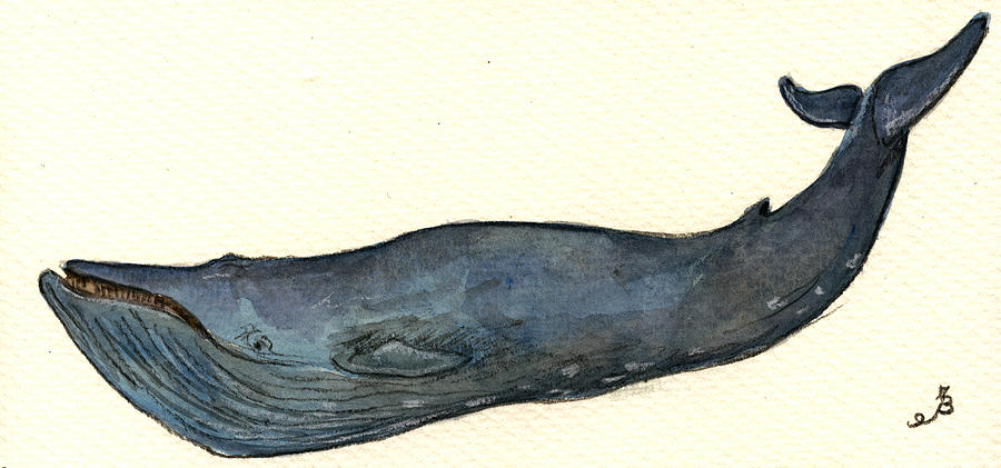 Fish Painting - Blue Whale by Juan  Bosco