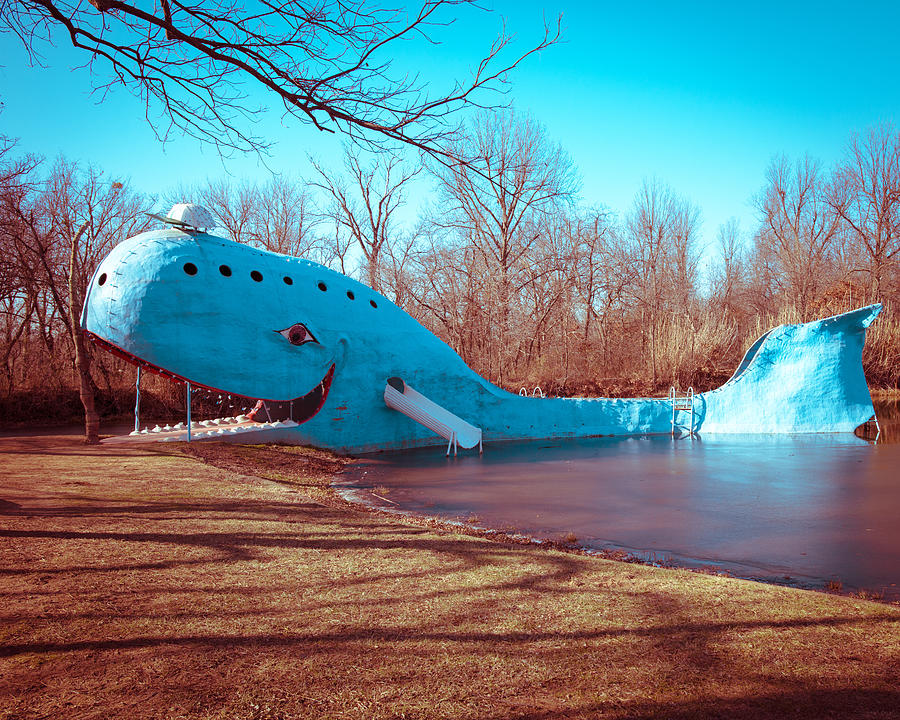 Blue Whale Photograph - Blue Whale of Catoosa Oklahome by Sonja Quintero