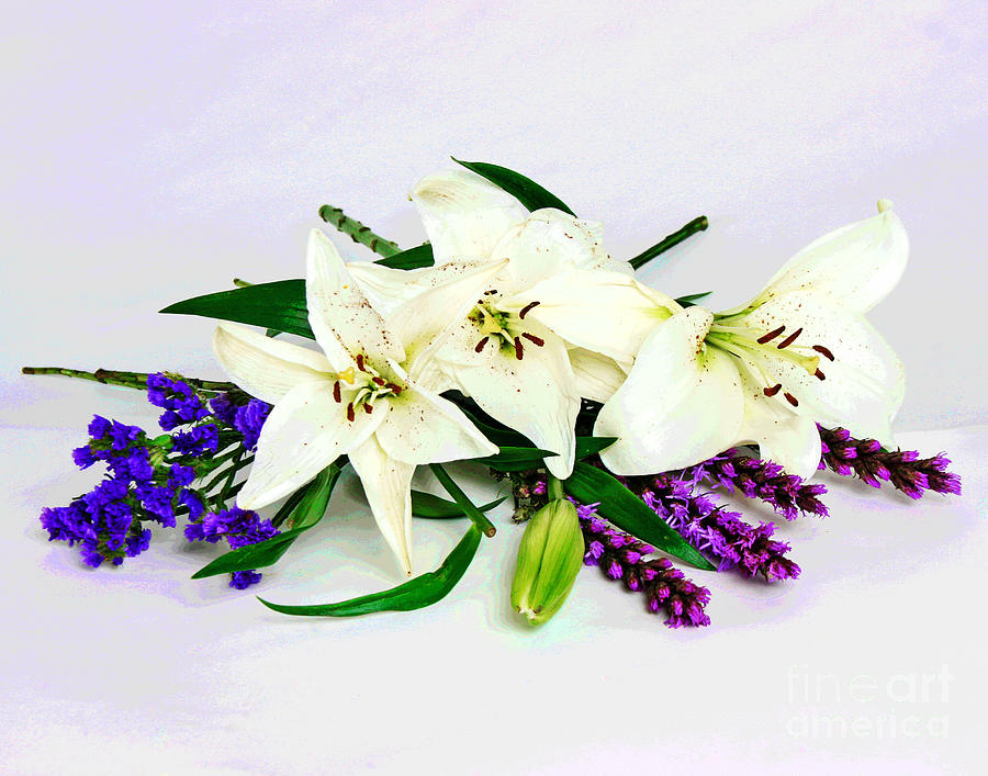 Blue White and Purple Flowers Photograph by Larry Oskin
