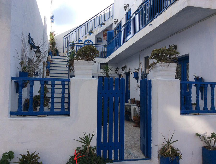 Flower Photograph - Blue White Santorini Hotel Greece by Colette V Hera Guggenheim