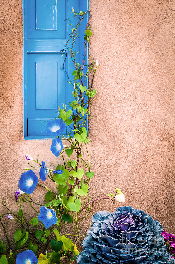 Blue Window Photograph by Bob and Nancy Kendrick