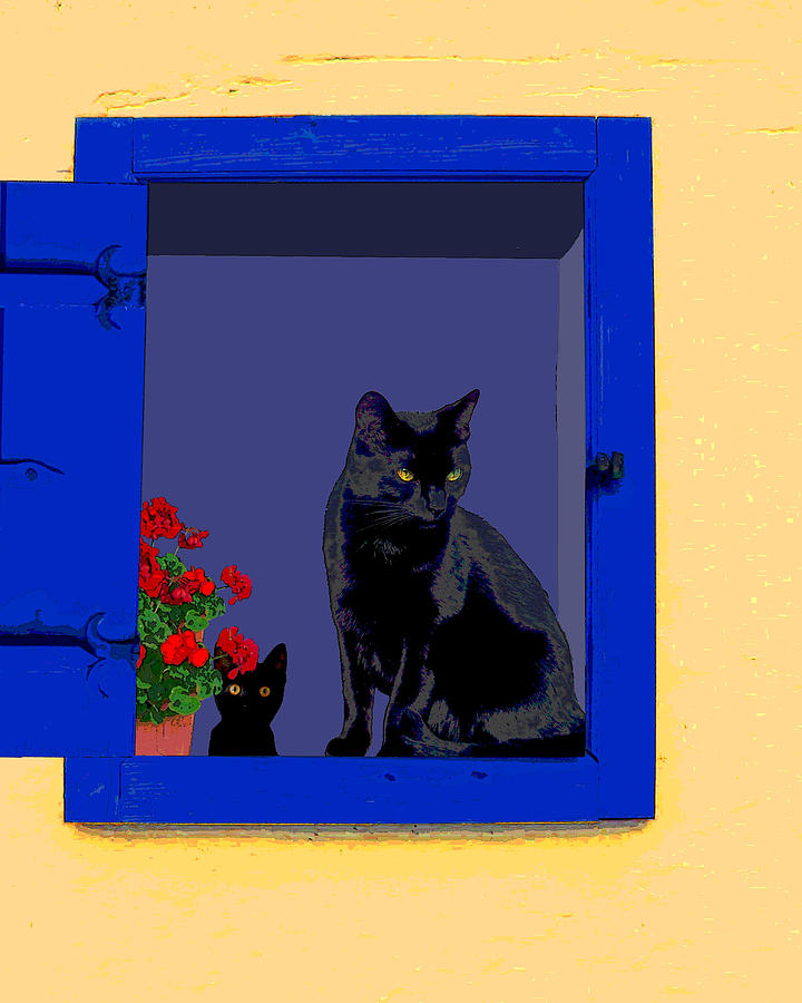 Blue Window Photograph by Iina Van Lawick