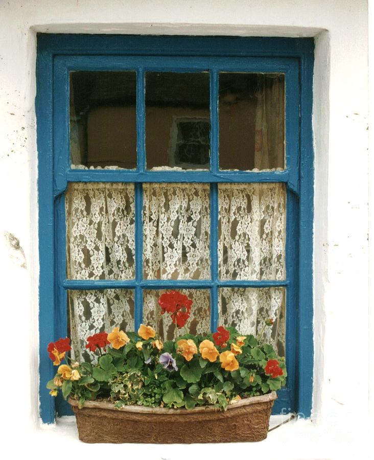 Blue window Photograph by Joe Cashin