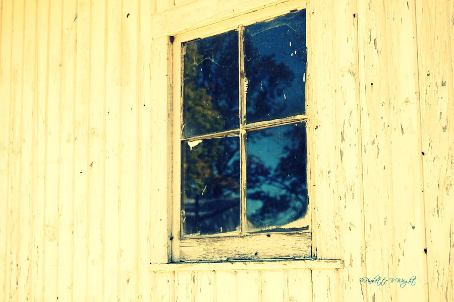 Blue Window Photograph by Paulette B Wright