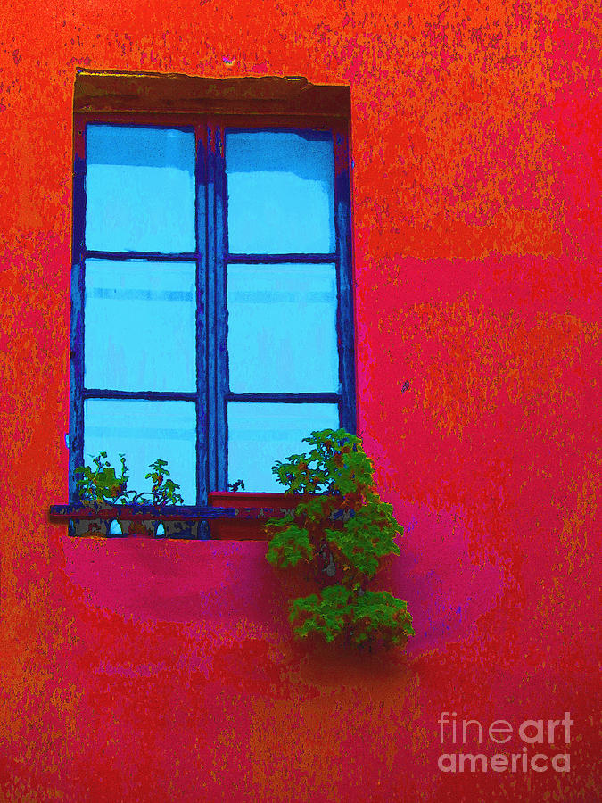 Blue Window With Flowers Photograph by Ann Johndro-Collins