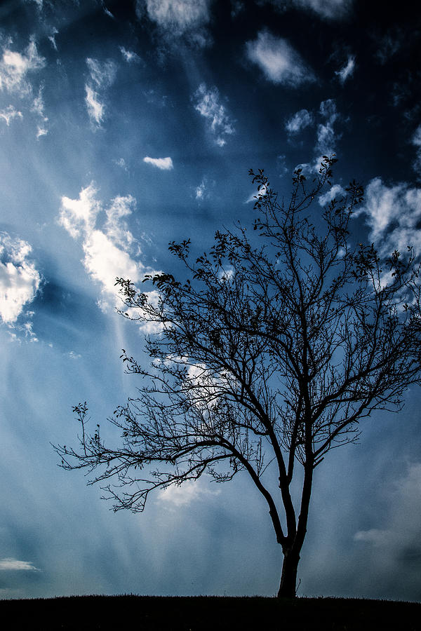 Inspirational Photograph - Blue Winds by Karol Livote