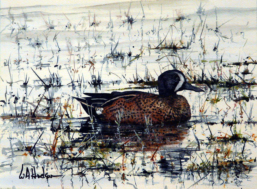 Blue-Winged Teal Painting by Bill Hudson