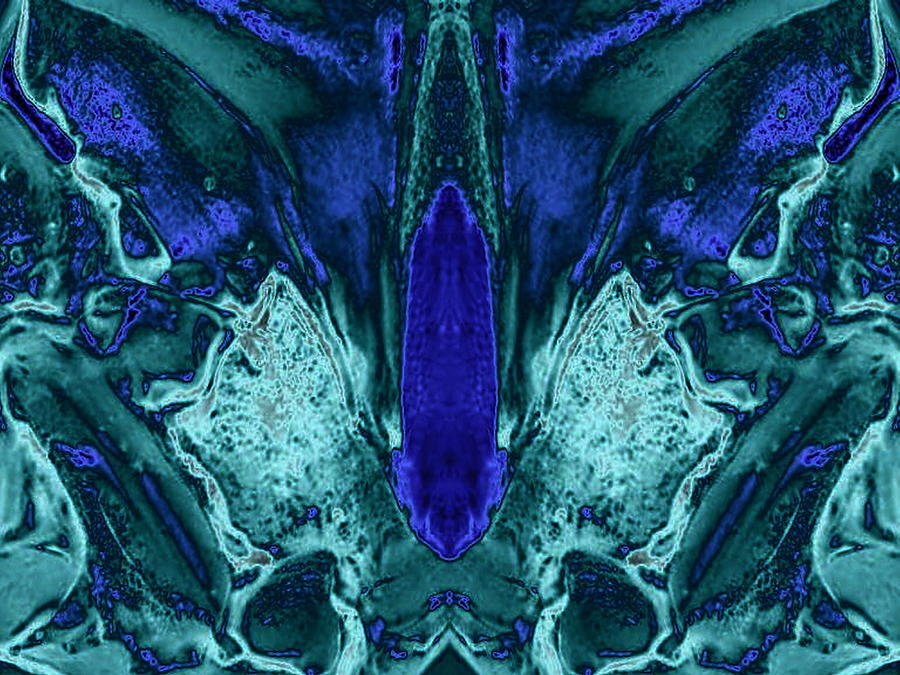 Blue Wings Digital Art by Mary Russell
