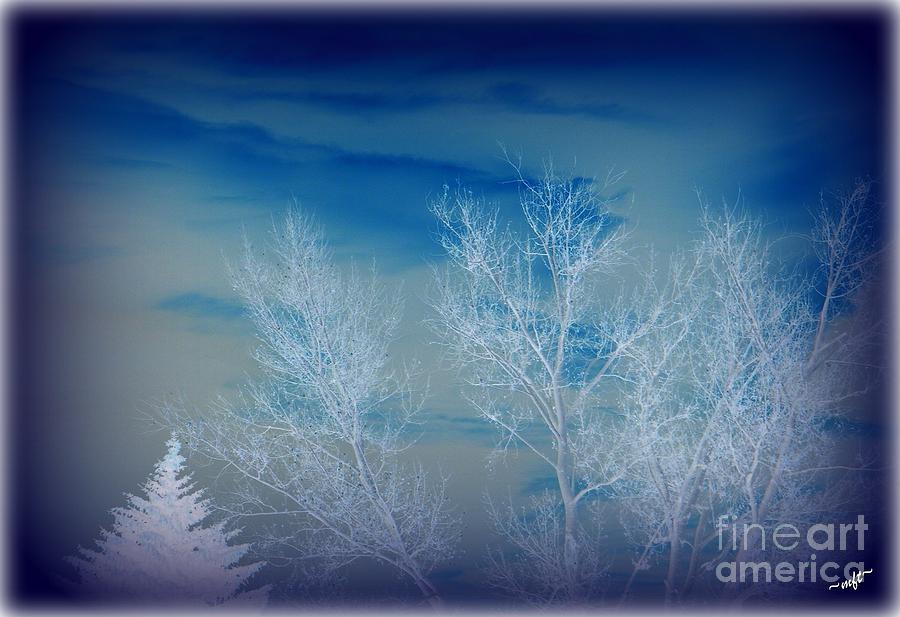 Blue Winter Photograph by Michelle Frizzell-Thompson