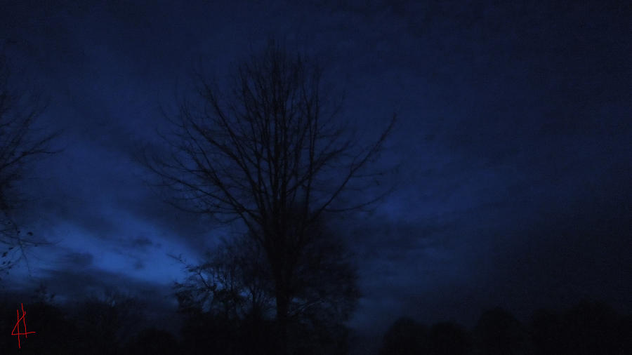 Nature Photograph - Blue Winter Night Denmark  by Colette V Hera Guggenheim