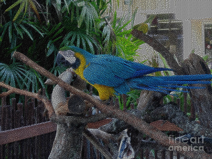 Blue-Yellow  Parrot Photograph by Oksana Semenchenko