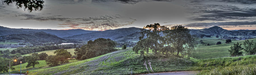 Bluebell and Country Roads Gilroy CA Photograph by SC Heffner