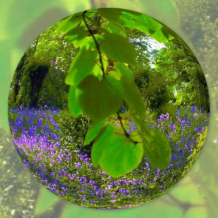 Bluebell Glass Sphere Photograph by Joan-Violet Stretch