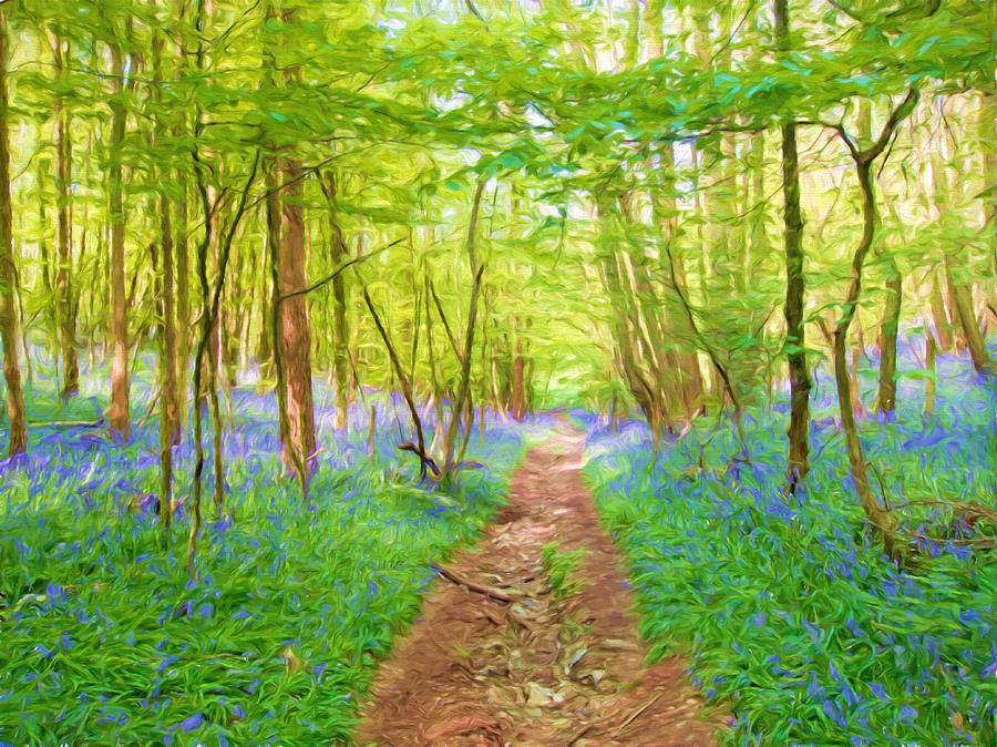 Bluebell Wood Painting Digital Art by Roy Pedersen