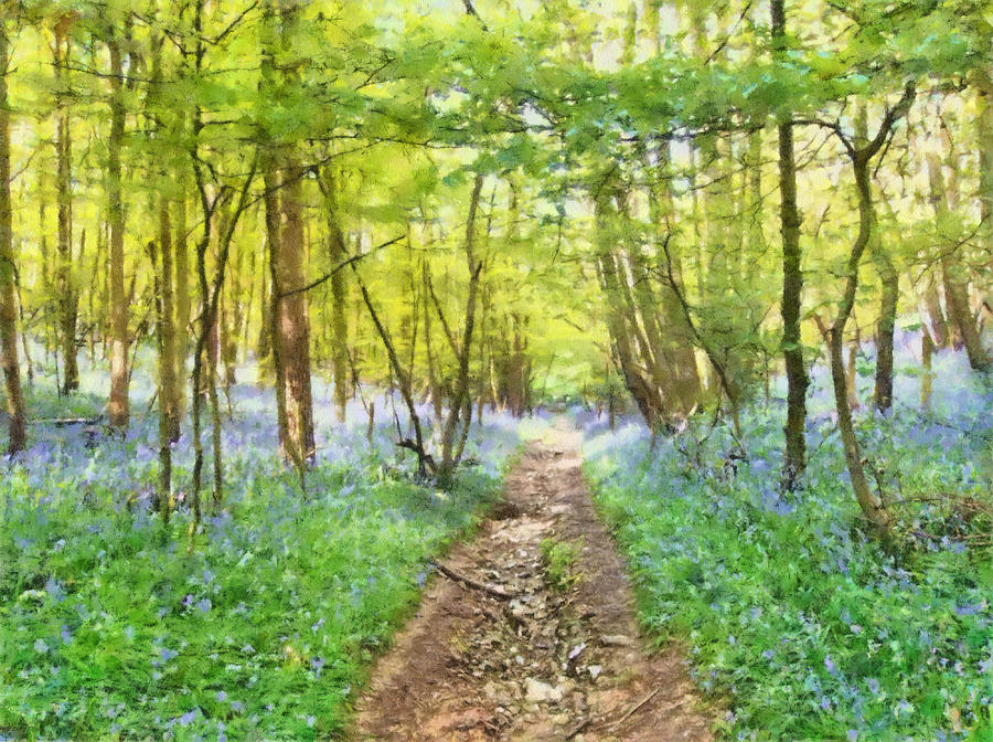 Bluebell Wood Watercolour Mixed Media by Roy Pedersen