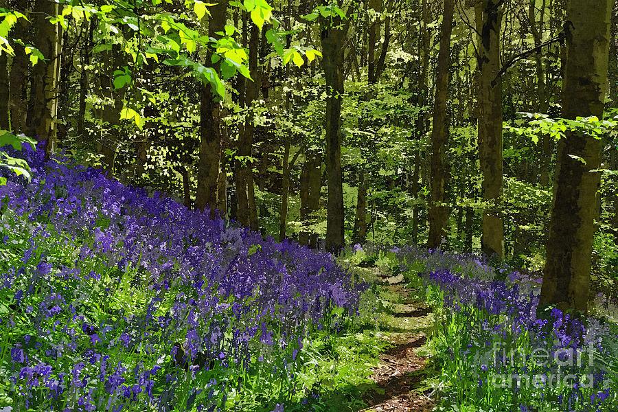 Bluebell Woods Photo Art Photograph by Les Bell