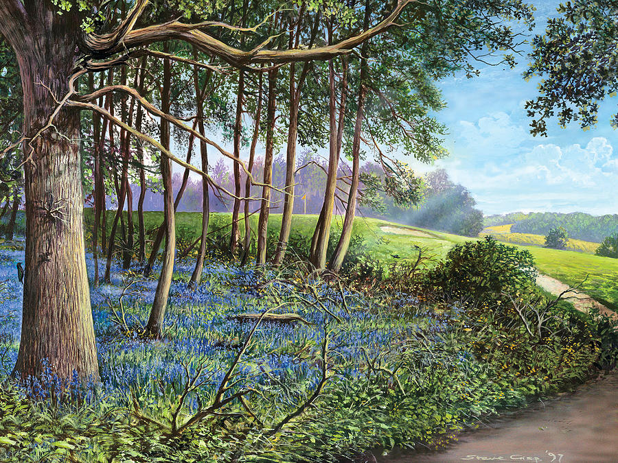 Landscape Photograph - Bluebells by MGL Meiklejohn Graphics Licensing