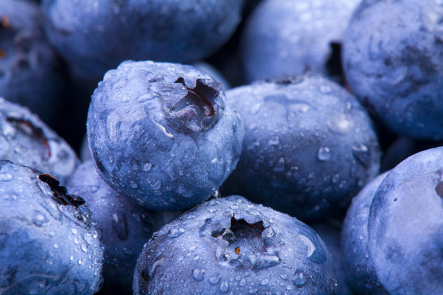 Blueberries Photograph by Alexey Stiop