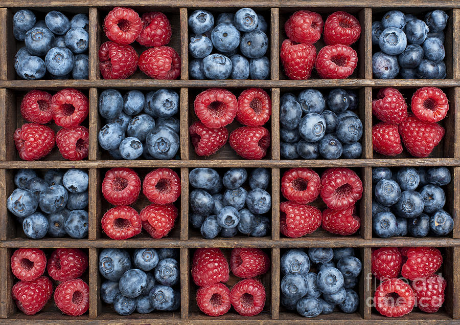 Pattern Photograph - Blueberries and Raspberries  by Tim Gainey