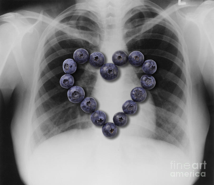 Blueberries, Heart Healthy Food Photograph by Gwen Shockey
