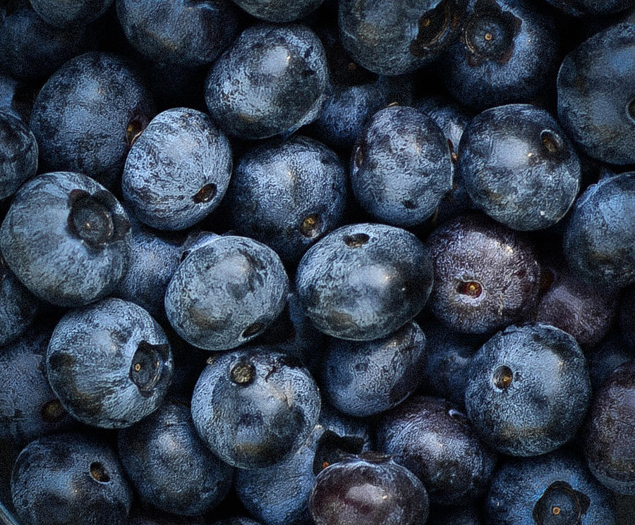 Blueberries III Photograph by Ronda Broatch