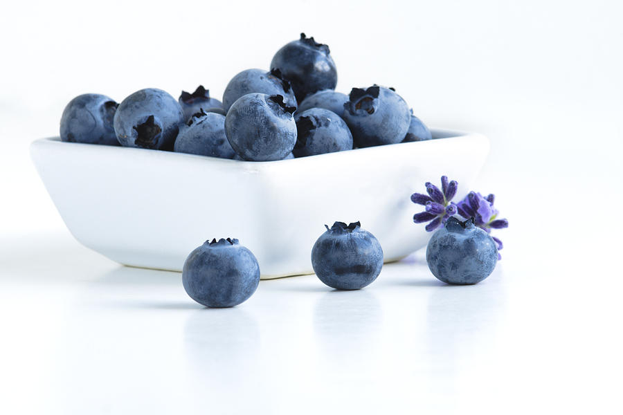 Blueberries in a Dish Photograph by Wild Sage Studio Karen Powers