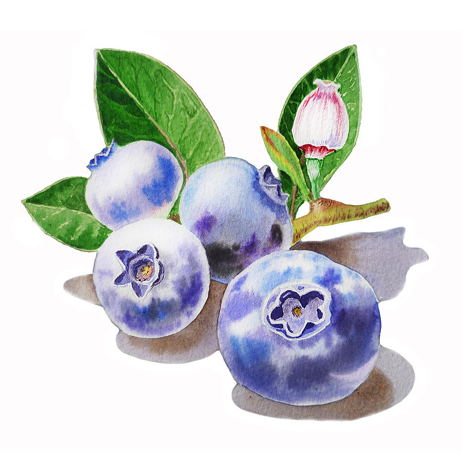 Blueberries  Painting by Irina Sztukowski