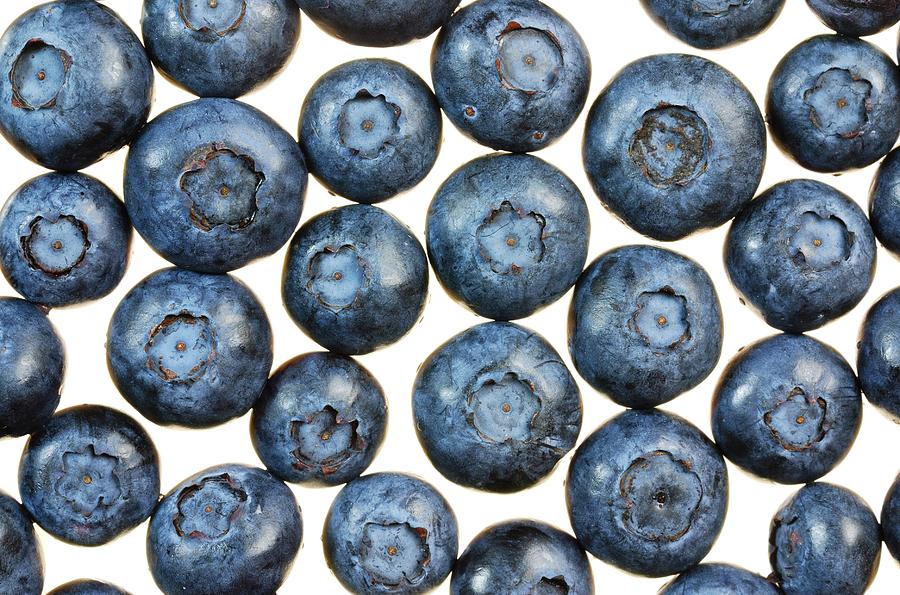 Blueberries Photograph by Jim Hughes