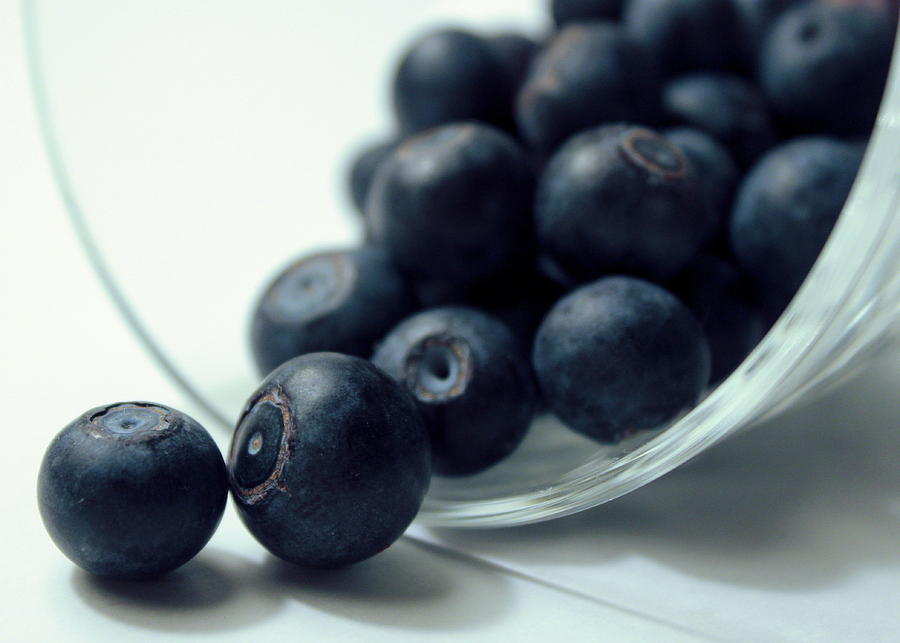 Blueberry Photograph - Blueberries by Joseph Skompski